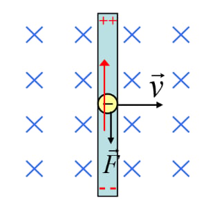 Conductor moves in magentic field
