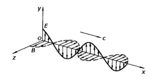 EM ware is transverse wave in phase